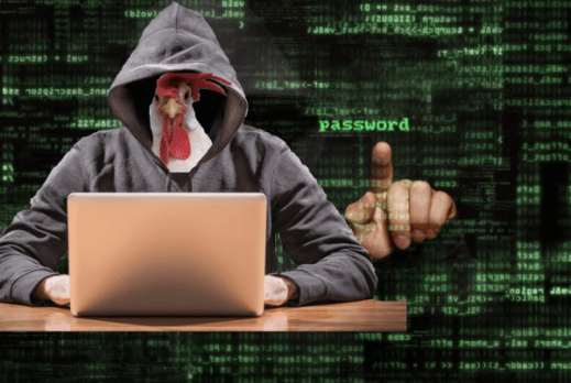 hacker-in-a-henhouse- dos